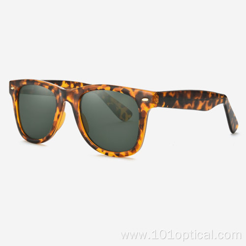 Square PC or CP Men's Sunglasses